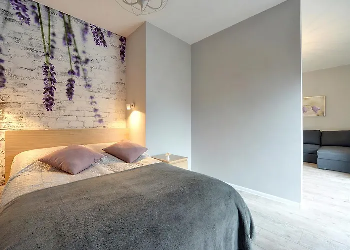 Sun Seasons 24 - Gondola Świeradów-Zdrój